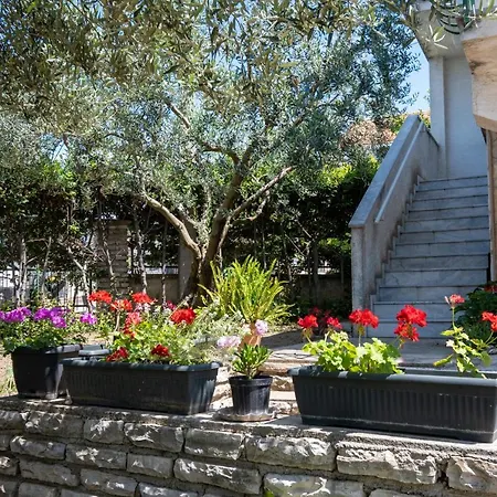 Apartment With A Parking Space Sveti Filip I Jakov, Biograd - 21221