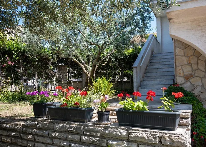 Apartman With Parking Space Sveti Filip I Jakov, Biograd - 21221